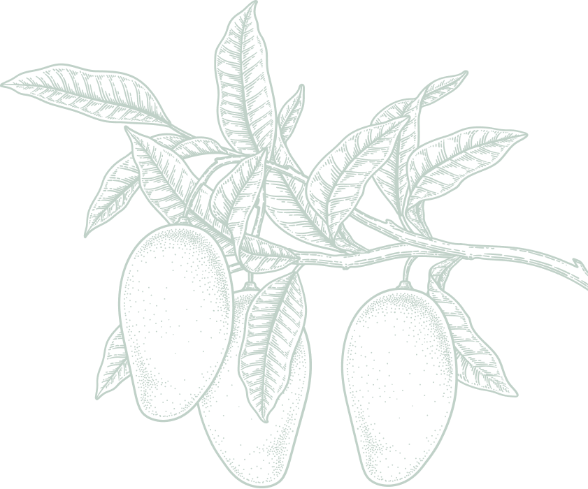 mango tree decorative image