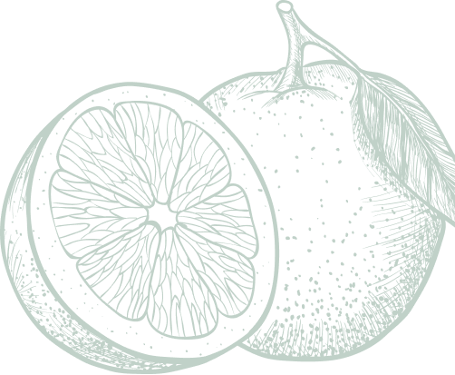 orange decorative image